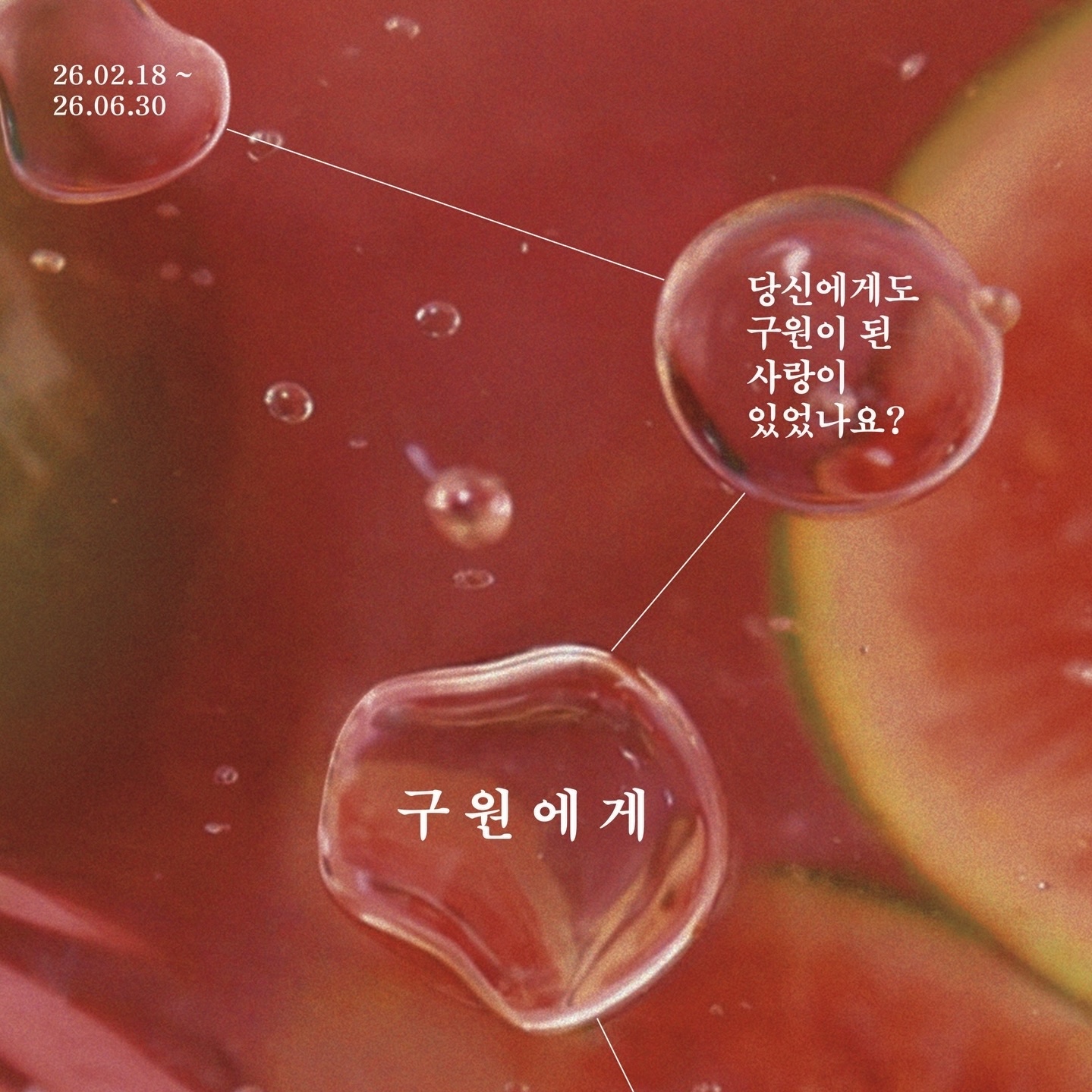 구원에게 북 전시